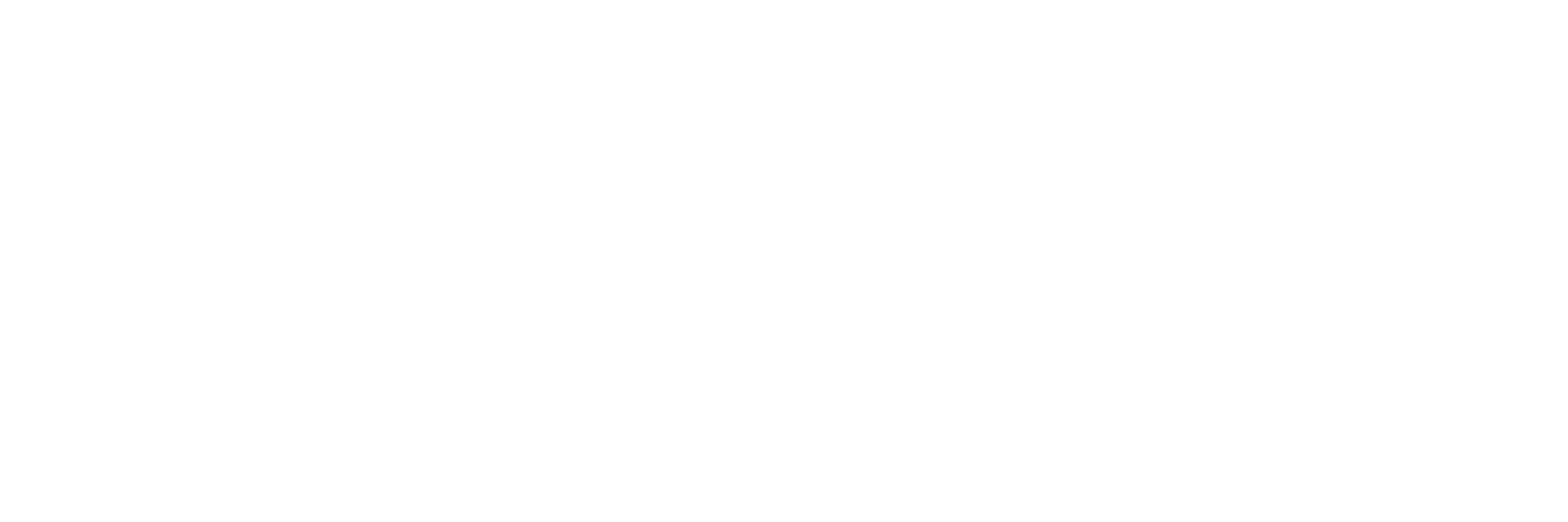 Fiesters App